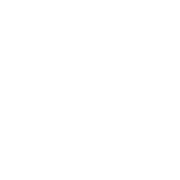 CAYPAX INC emblem